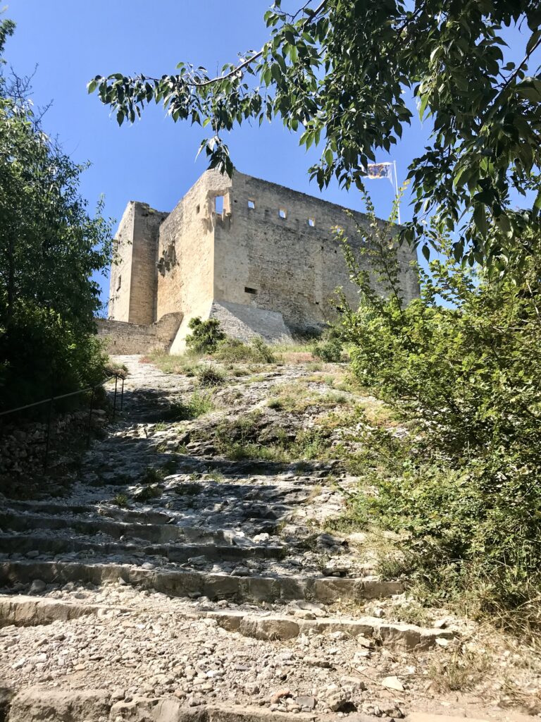 ruins of the chateau