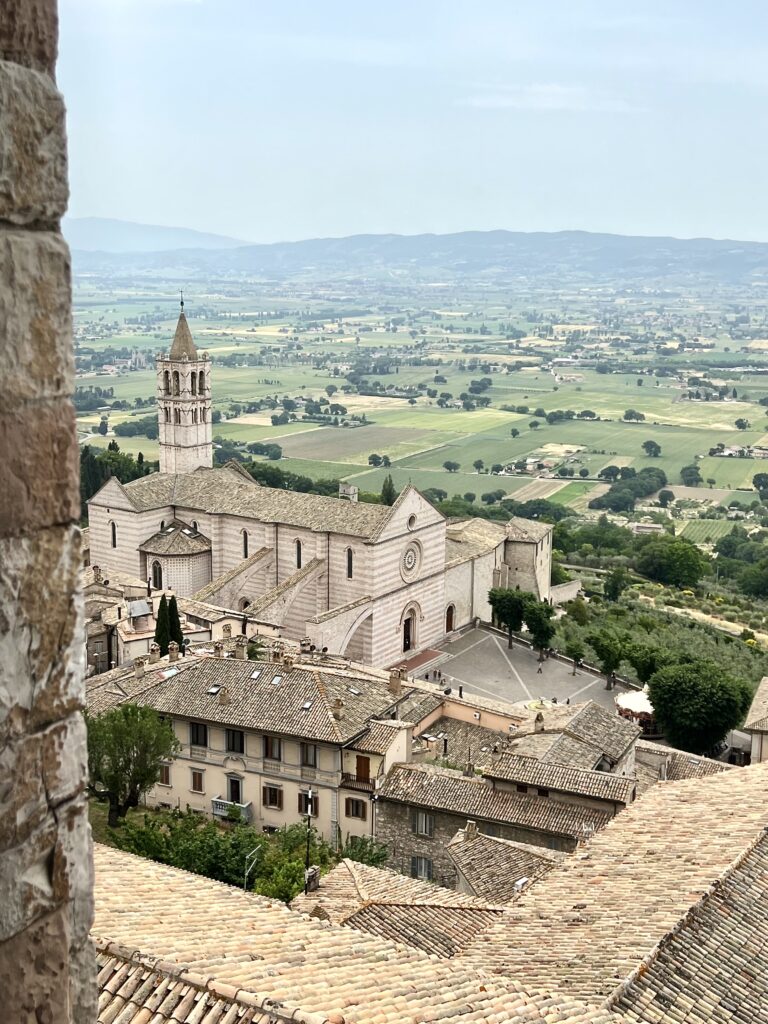 Basilica of St. Clare, as seen from the bell tower of the Duomo