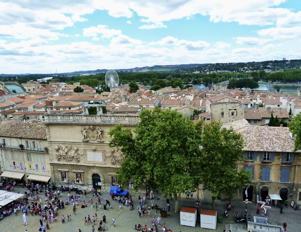 view from the tower of the Pope's Palace