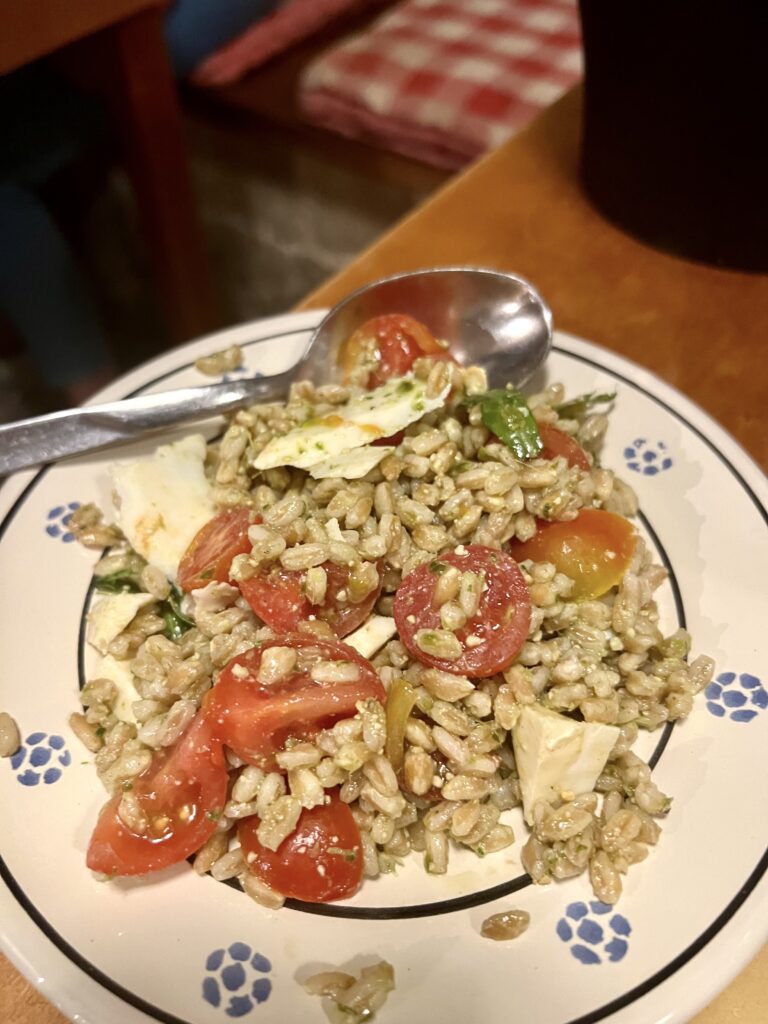 rice with tomatoes and garlic