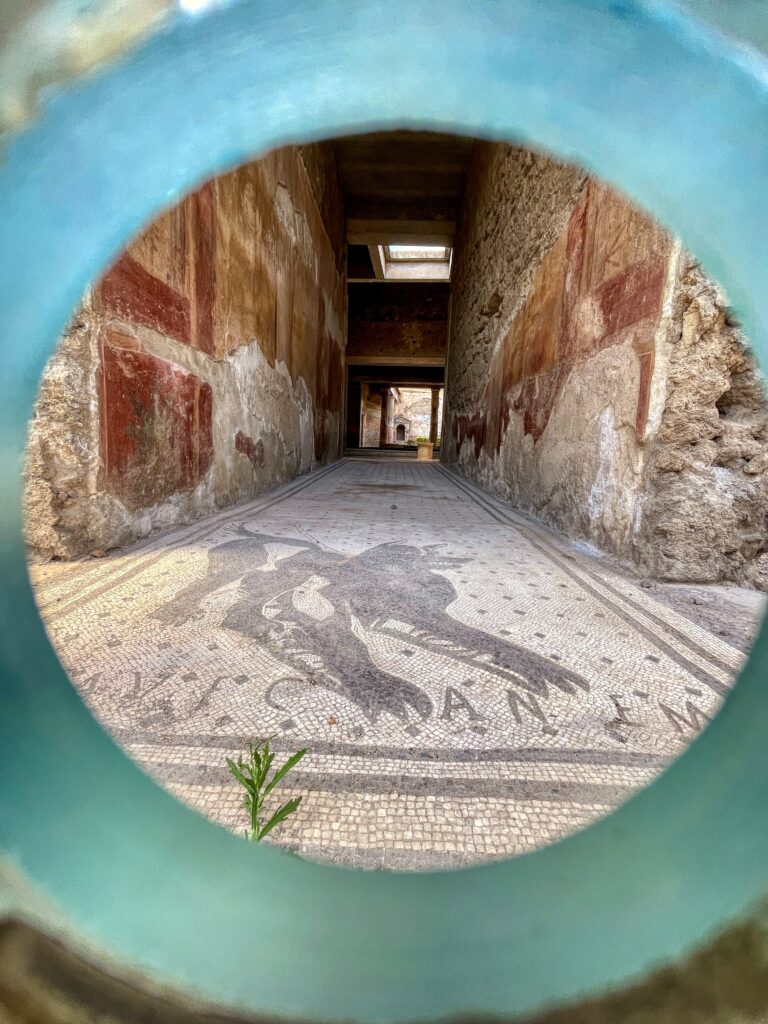 the beware of the dog mosaic in the House of the Tragic Poet