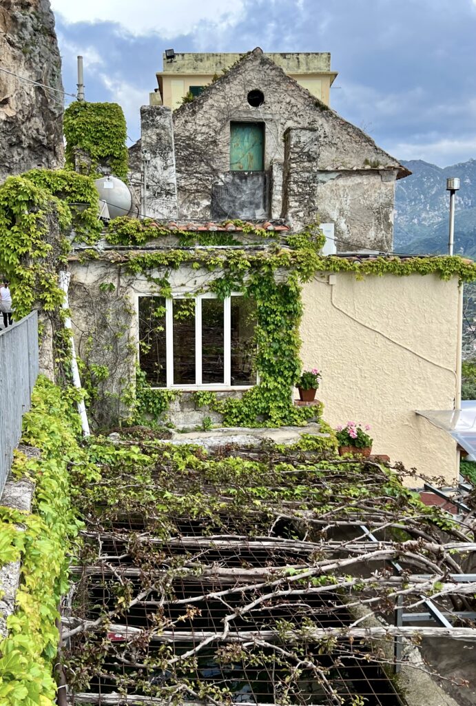 crumbling villa with vineyard