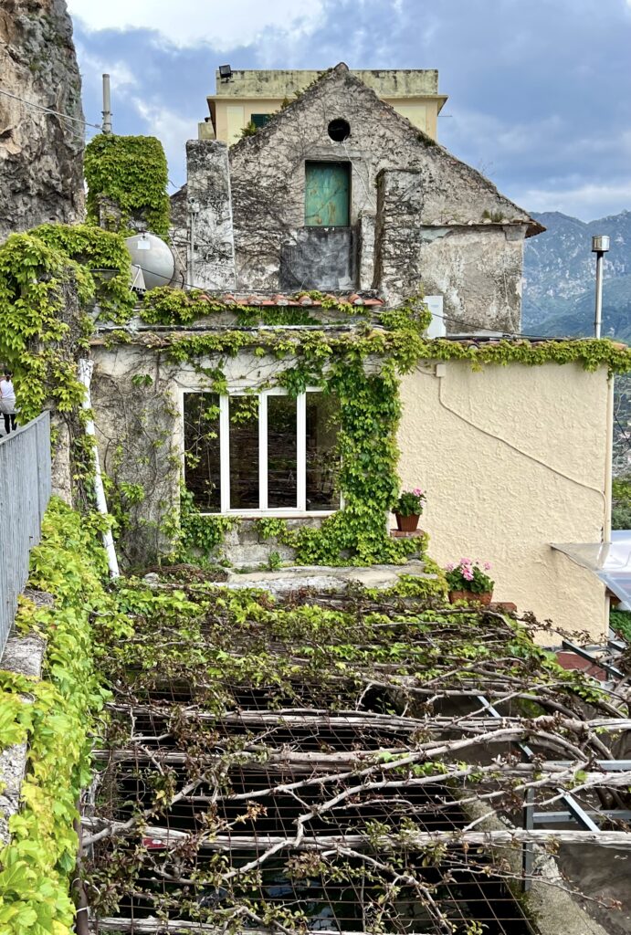 crumbling villa with vineyard