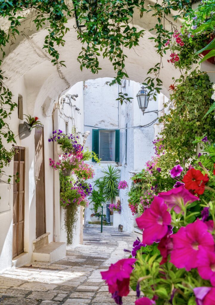 pretty street with flowers