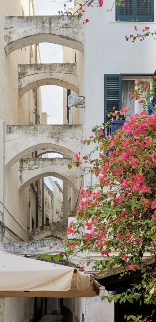 pretty lane iwth flowers in Monopoli