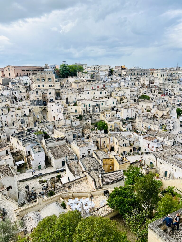 view from the Duomo belvedere