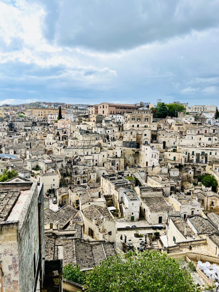 view from the Duomo belvedere