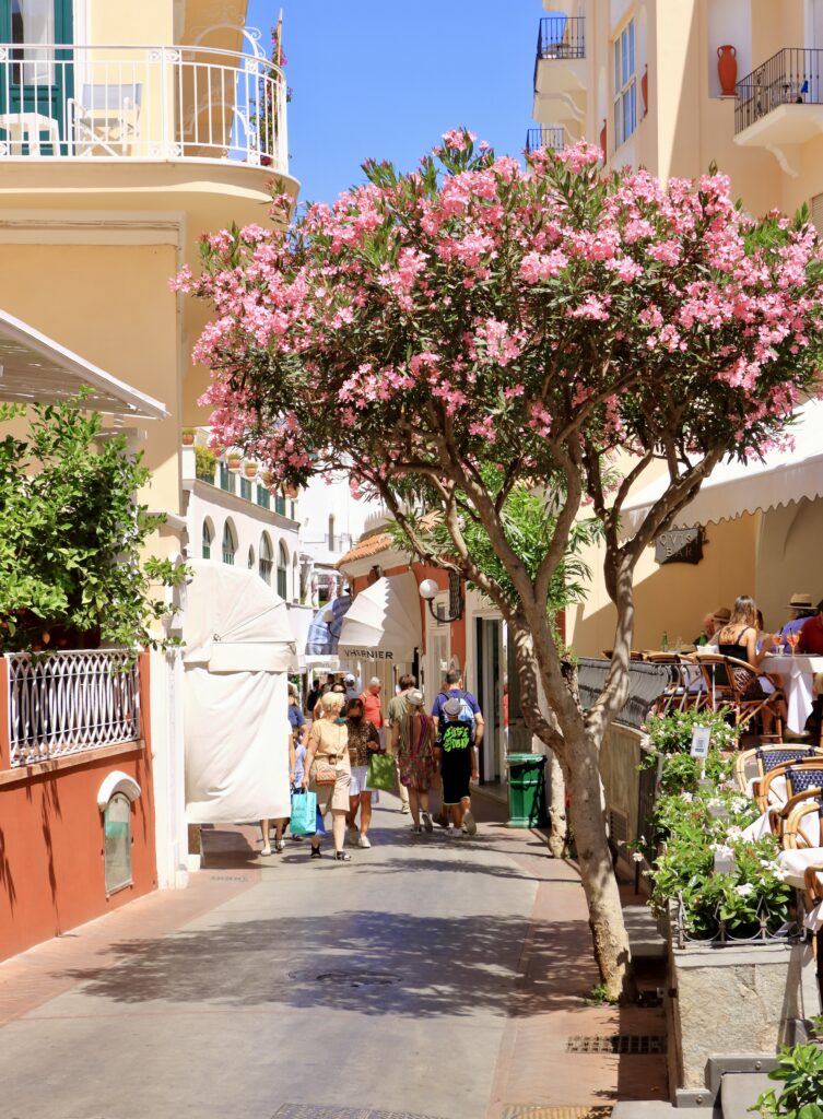street in Capri Town