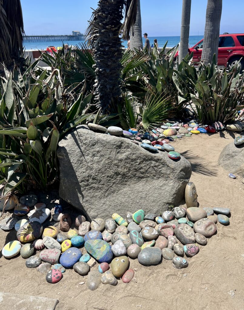 painted rock garden