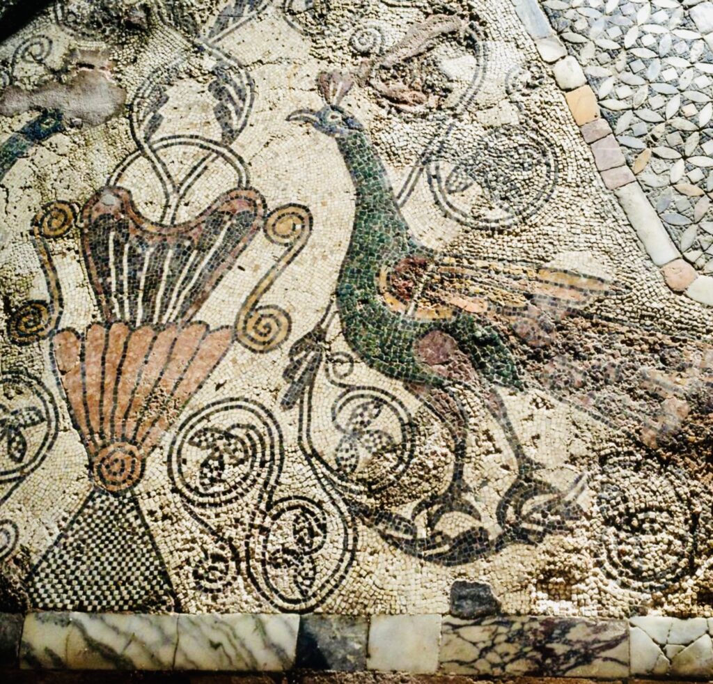 peacock floor mosaic