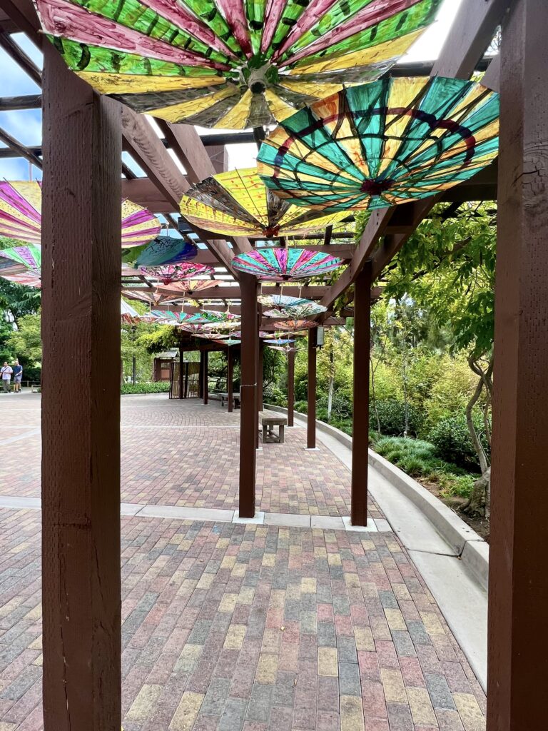 umbrellas in the Japanese Garden