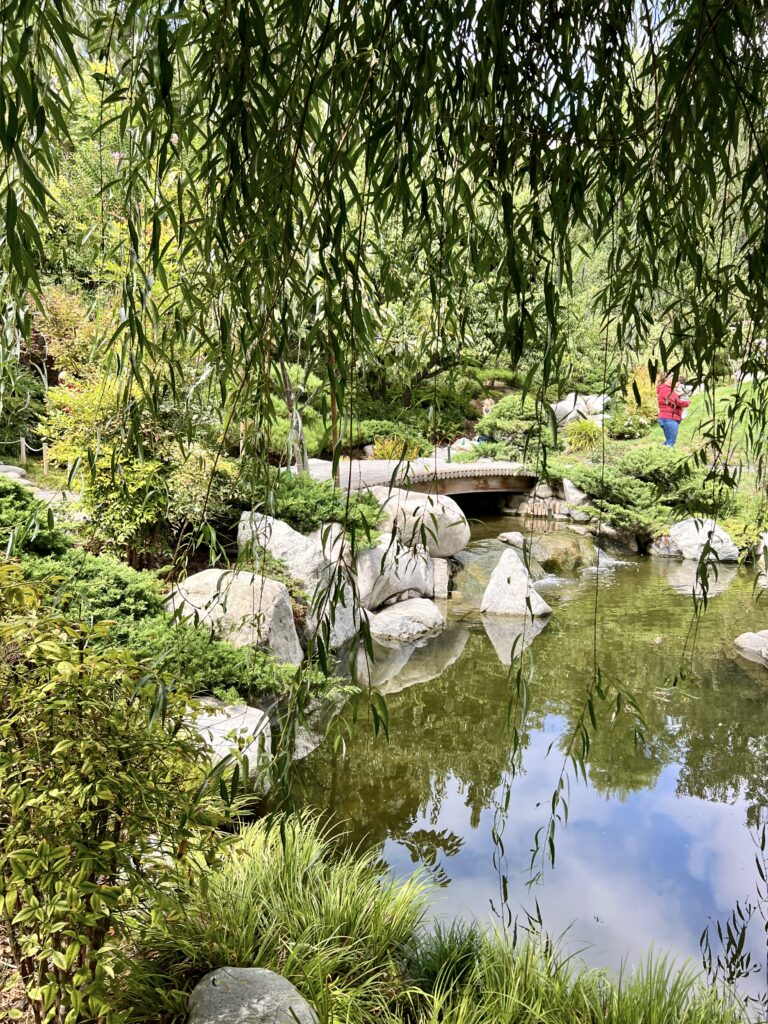 Japanese Garden