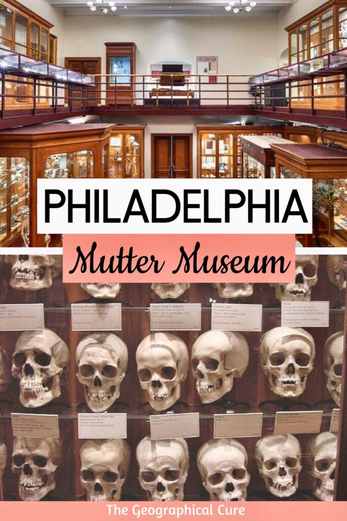 Pinterest pin for guide to Philadelphia's Mutter Museum