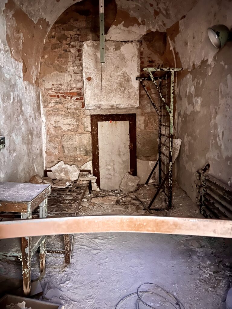 decaying cell