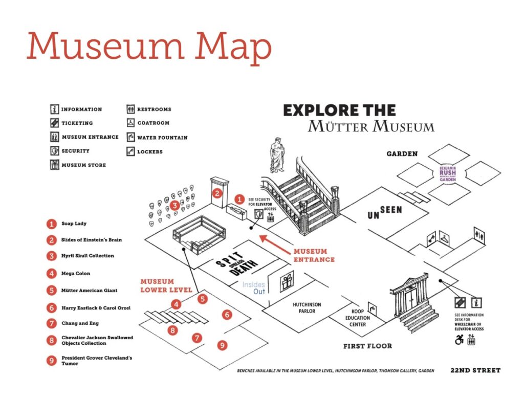 map of the Mutter Museum