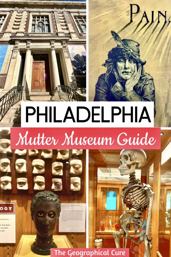 Pinterest pin for guide to Philadelphia's Mutter Museum