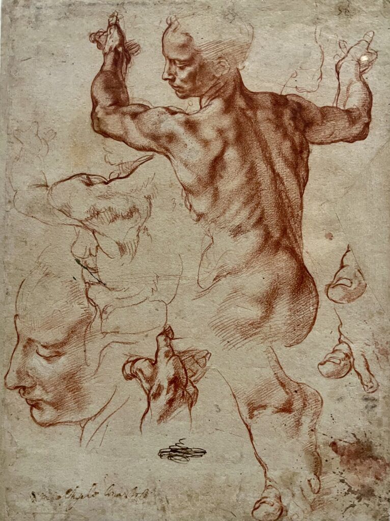 Michelangelo drawing for the Sistine Chapel