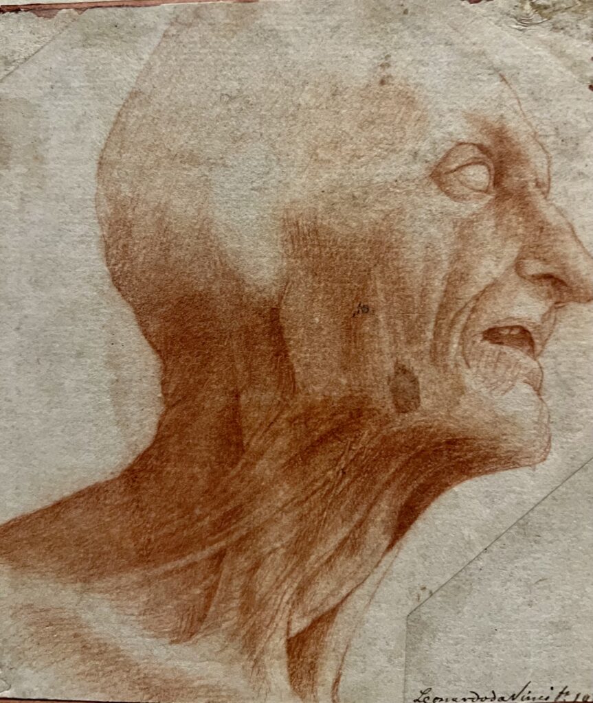 Leonardo da Vinci, Muscle Head, 1500