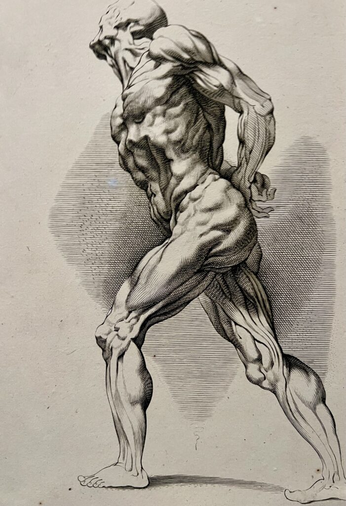 Peter Paul Rubens, Walking Man, 1638