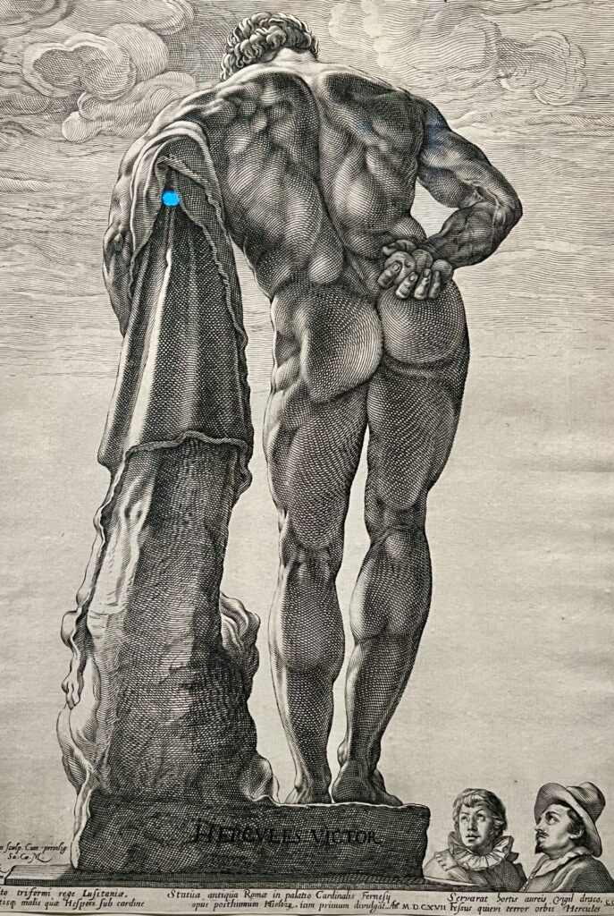 endrick Glottis, Farnese Hercules, 1592