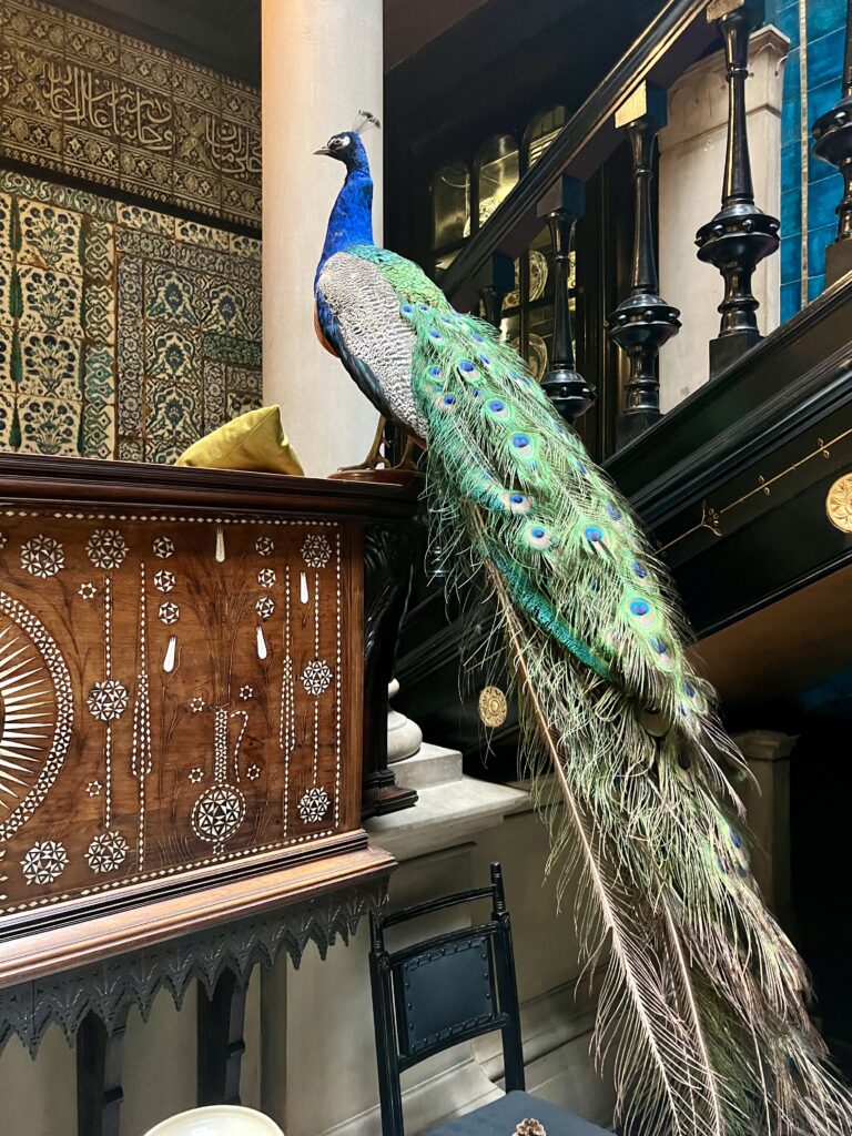 peacock in Staircase Hall