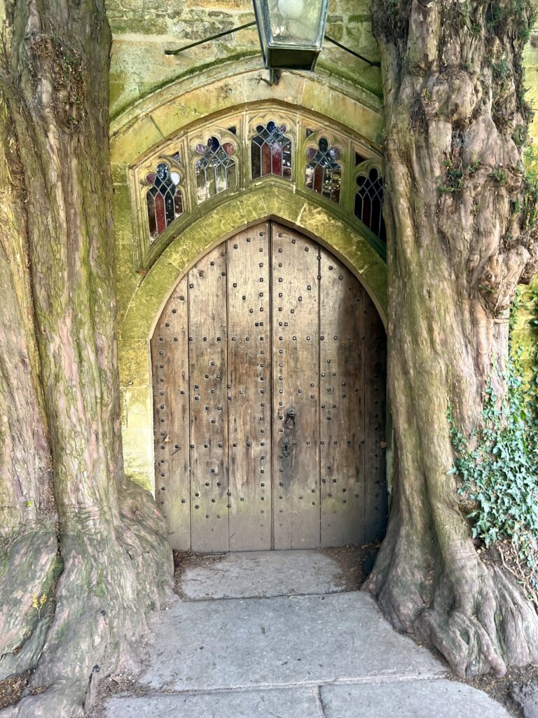 "Tolkien tree" in Stow-on-the-Wold