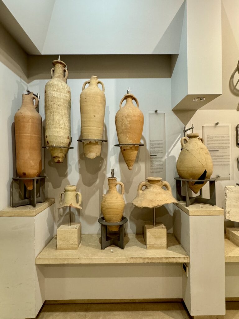 amphorae in the museum