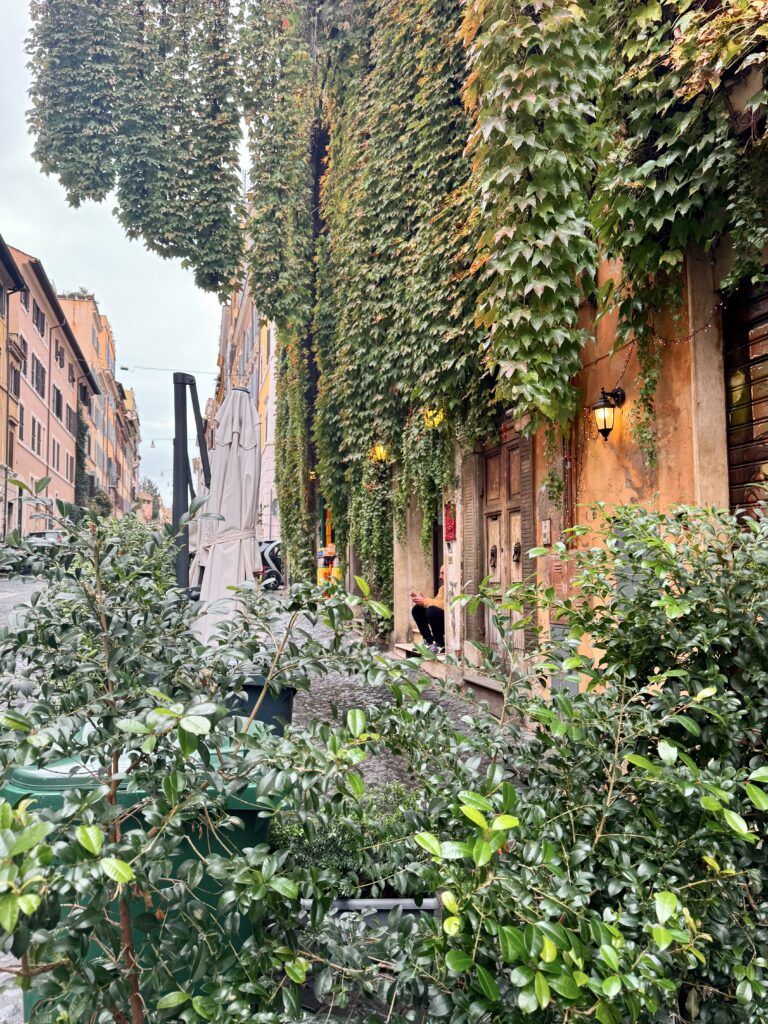 ivy clad street in the Monti neighborhood