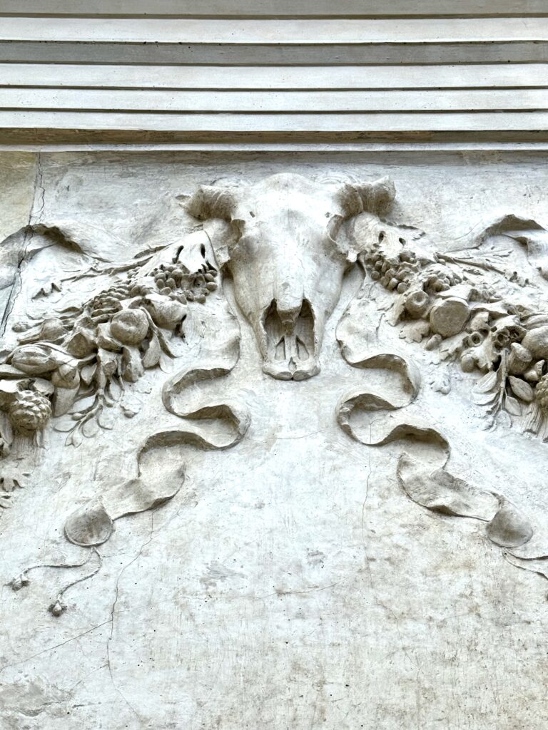 ox skull