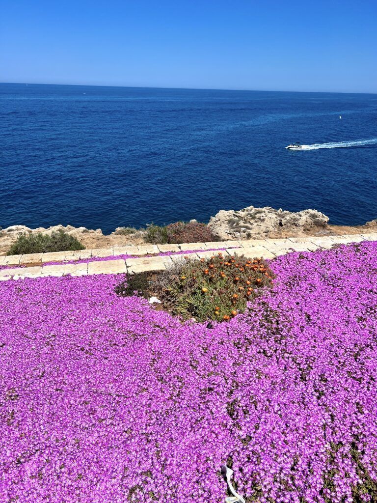 Polignano a Mare