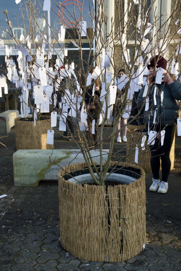 Yoko Ono's installation Wish Tree Garden
