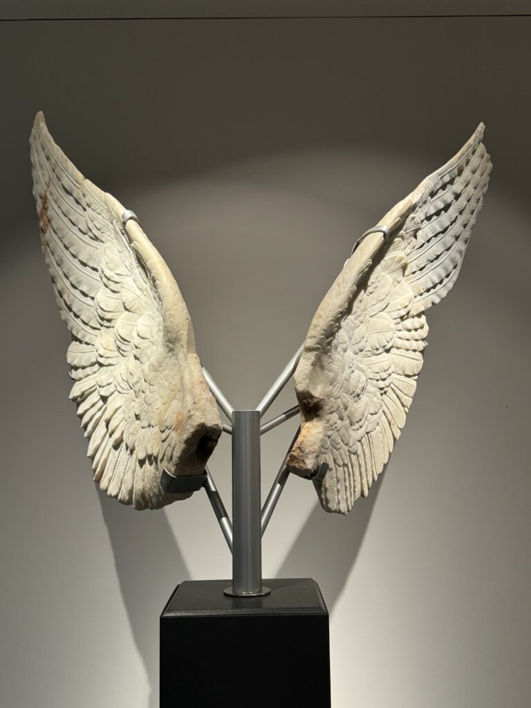 wings from Victory sculpture