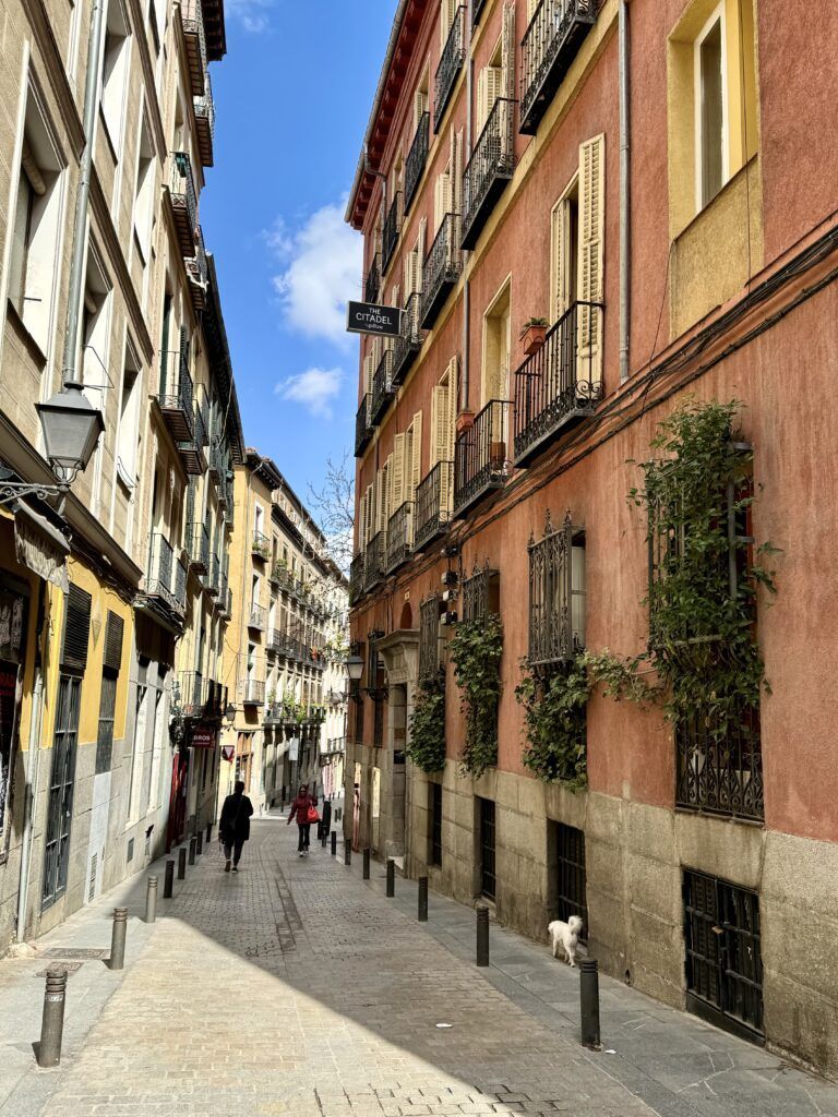 street in La Latina