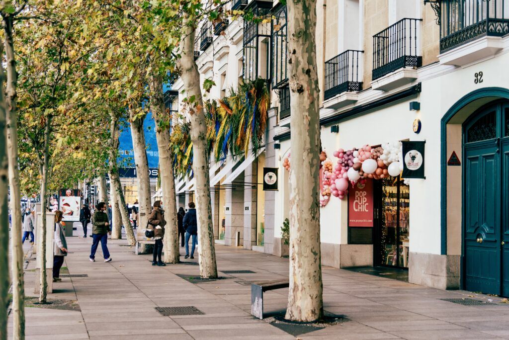 Serrano Street in Salamanca 