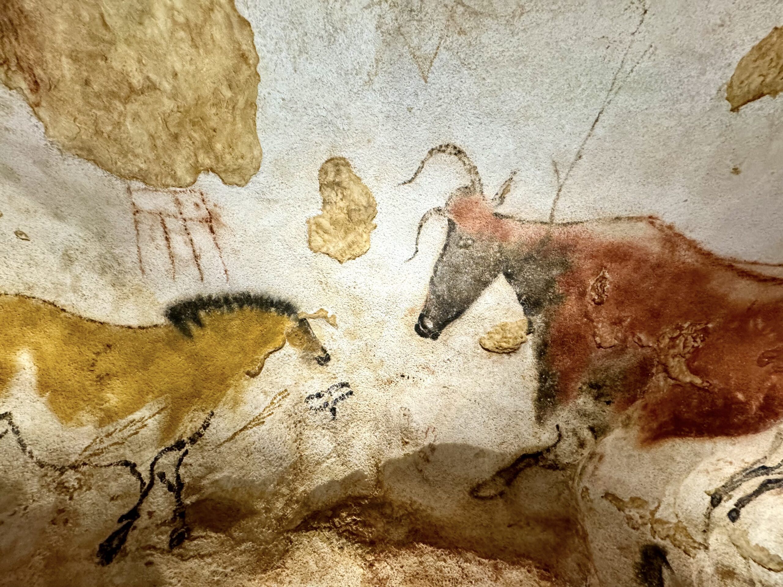 Guide To Lascaux IV: What To See + Tips - The Geographical Cure