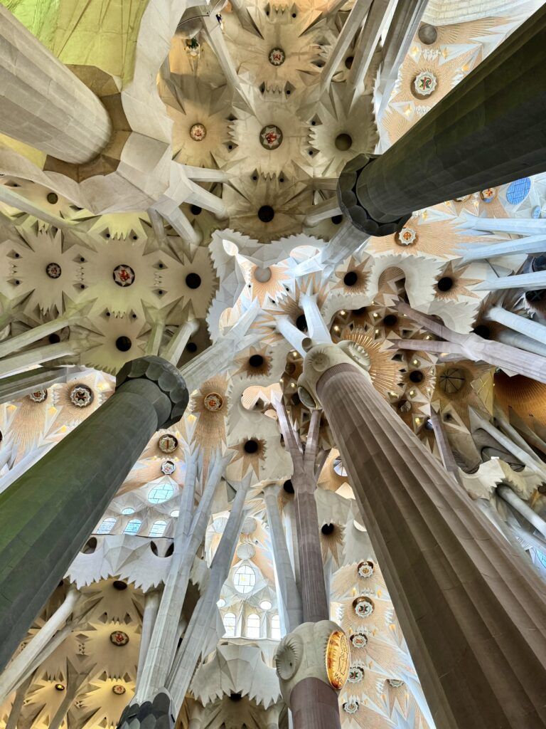 ceiling of the basilica