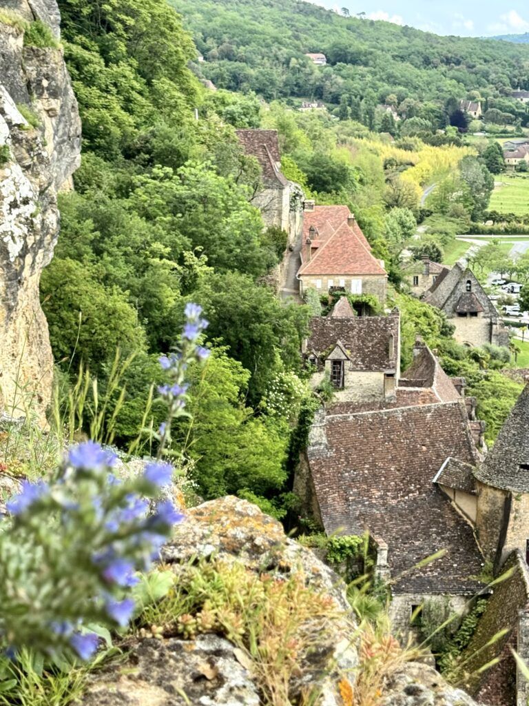 chief of rooftops in La Roque Gageac