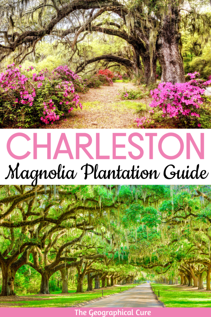Pinterest pin for guide to Magnolia Plantation
