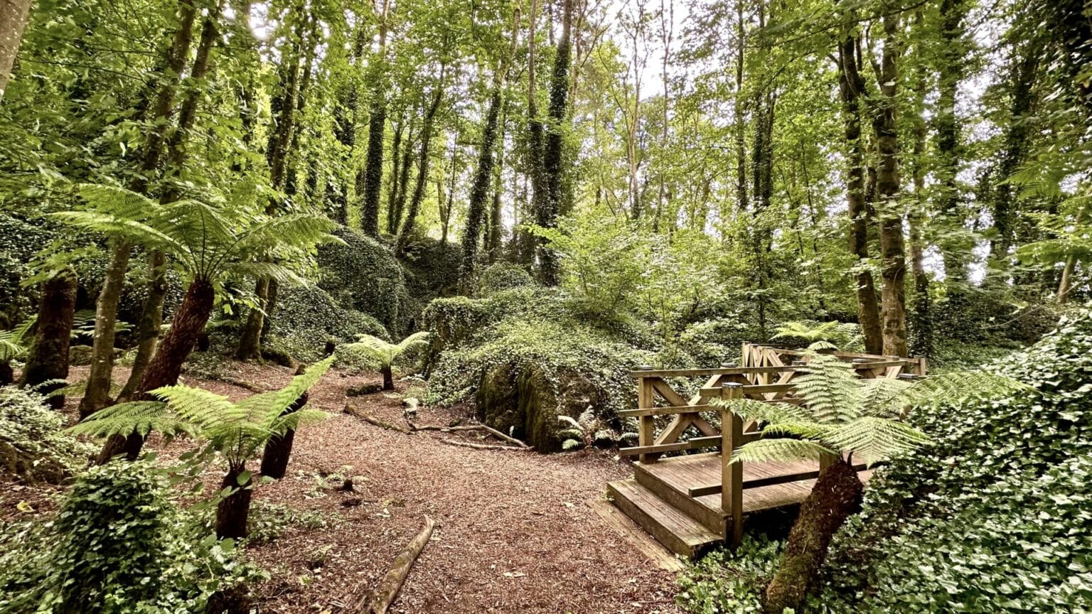 Guide To Blarney Castle & Gardens The Geographical Cure