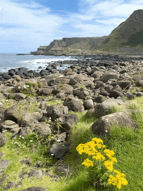 stones on the Blue Trail