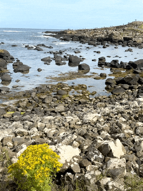 stones on the Blue Trail