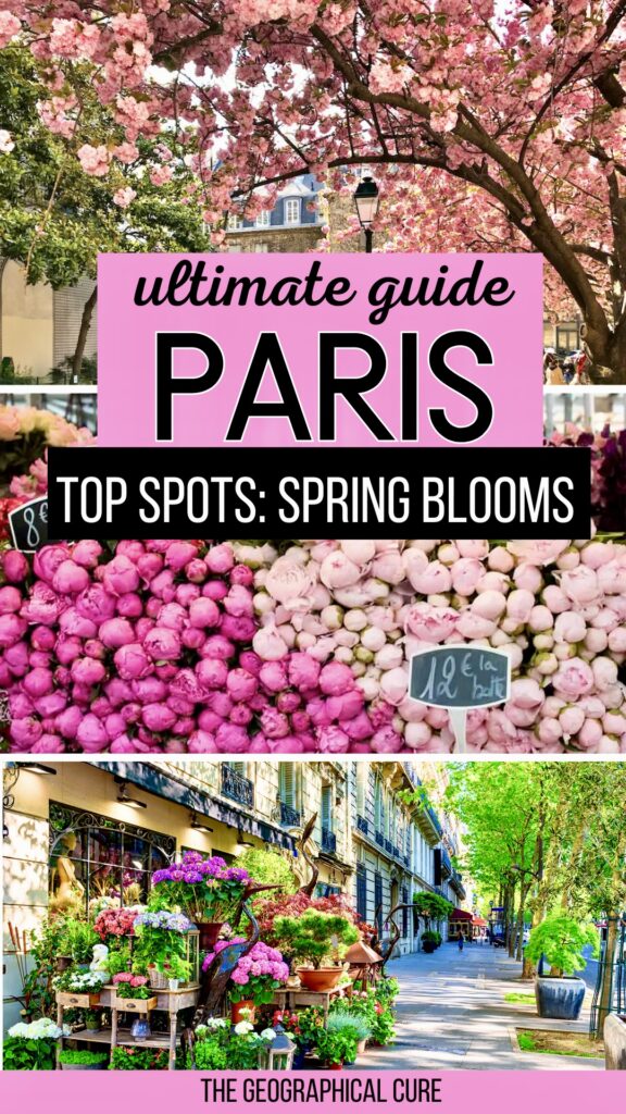Pinterest pin graphic for Paris in spring
