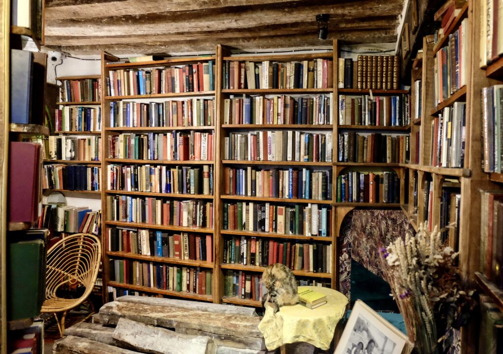 books shelves in the shop