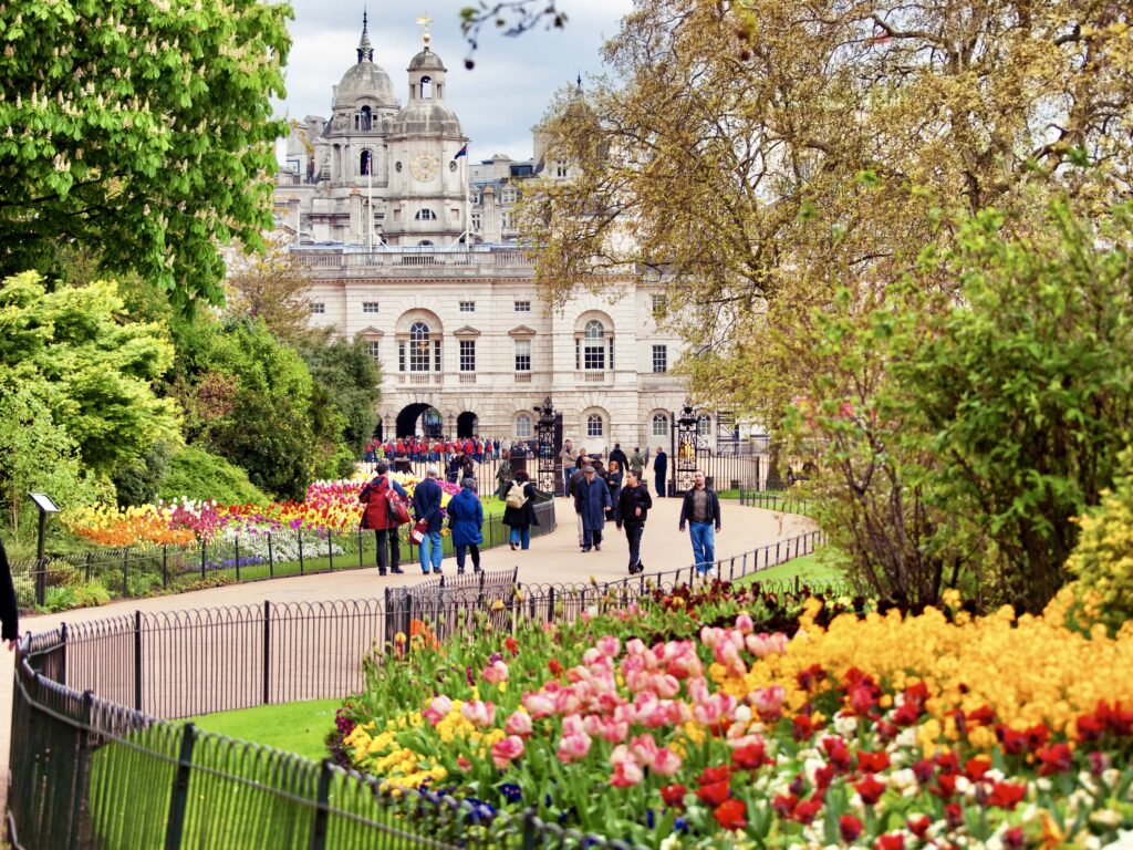 tulip garden in St. James Park
