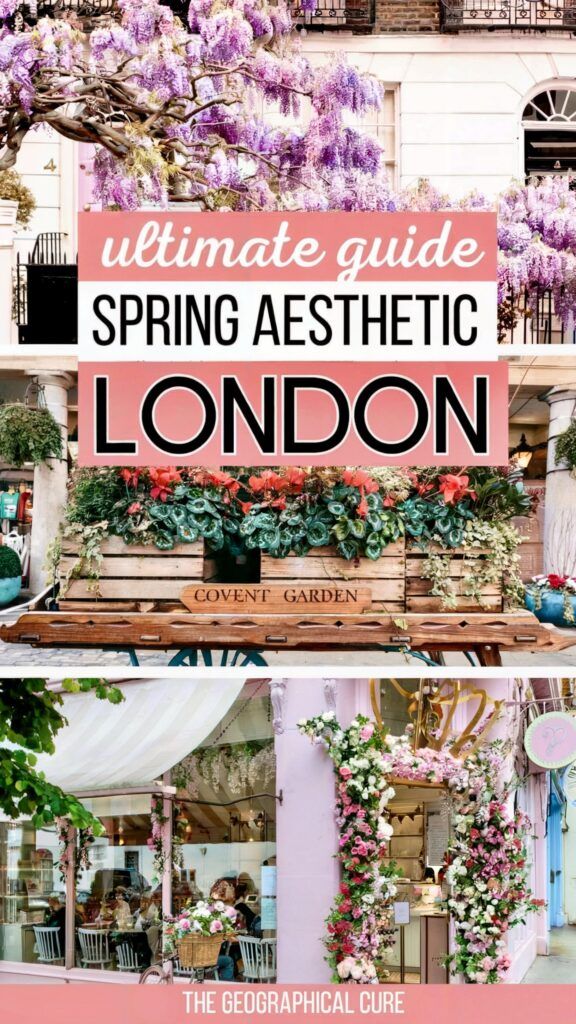 Pinterest pin graphic for things to do in London in spring