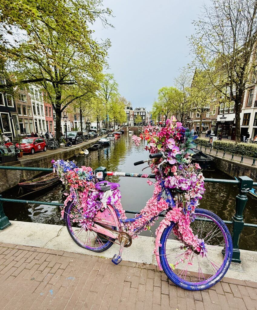 pink bicycle on canal