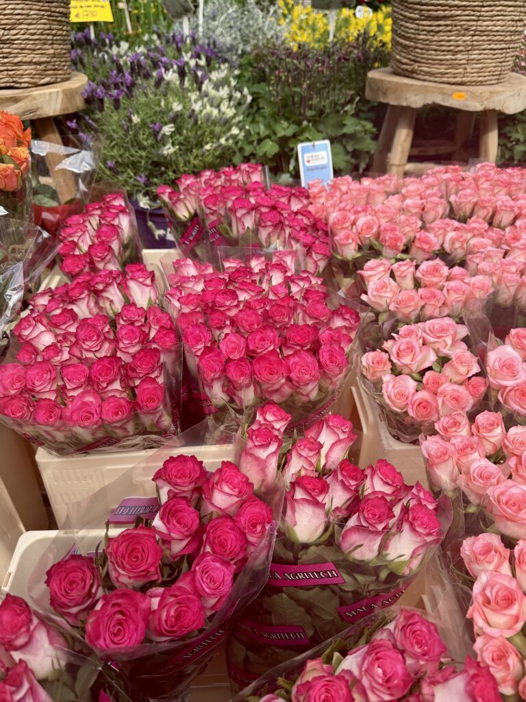 tulips at Cuyper Market
