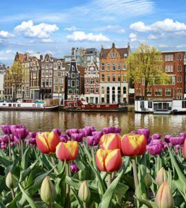 canal with tulips
