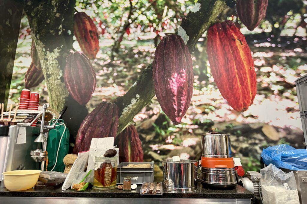 mural of cacao beans at Palilnette
