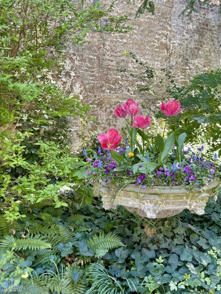 tulips in antique pot